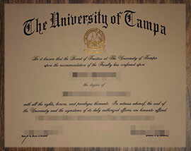 purchase realistic University of Tampa degree