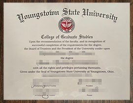 purchase realistic Youngstown State University degree