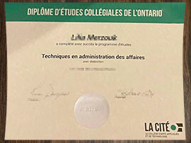 purchase realistic College La Cite degree