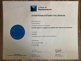 purchase realistic College de Maisonneuve degree