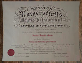 purchase realistic Mount Allison University degree