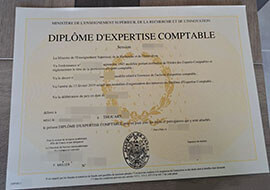 purchase realistic Diplome D'expertise Comptable