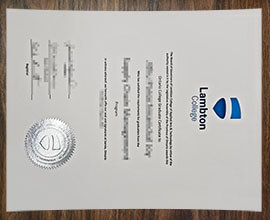 purchase realistic Lambton College diploma