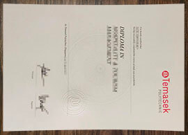 purchase realistic Temasek Polytechnic diploma