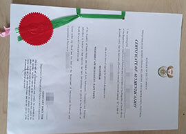 purchase realistic Republic of South Africa Certificate of Authentication